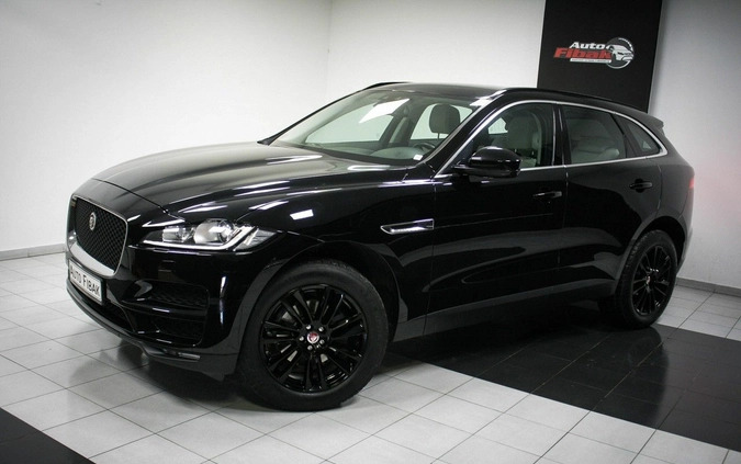 Jaguar F-Pace cena 123900 przebieg: 96000, rok produkcji 2017 z Miastko małe 562